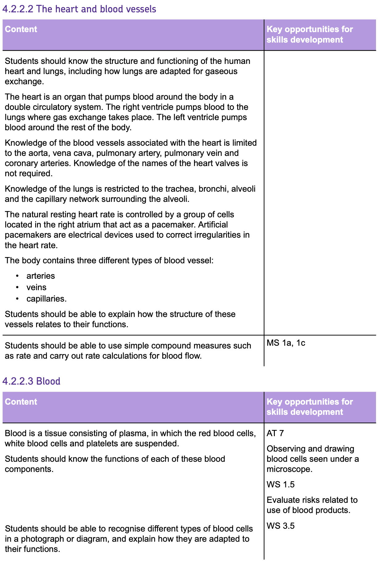 gbatch2-2-5spec